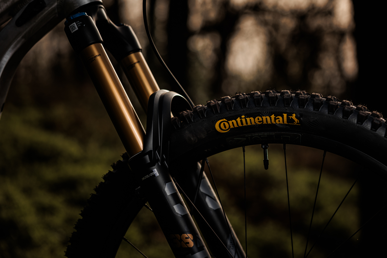 EPIC BIKE CONTINENTAL 2